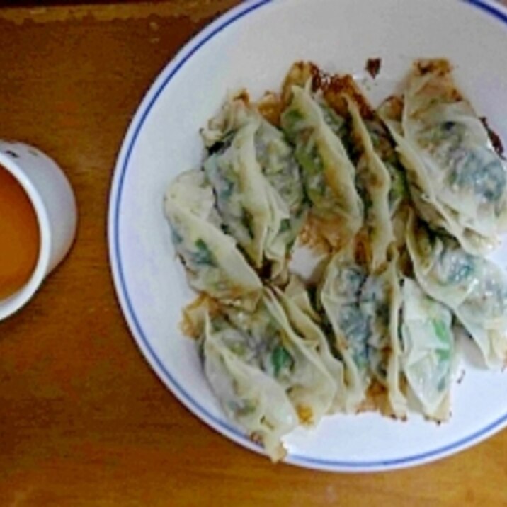 栄養満点餃子